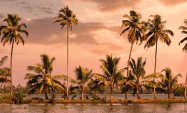 Munnar – Thekkady – Alleppey