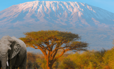 Tanzania